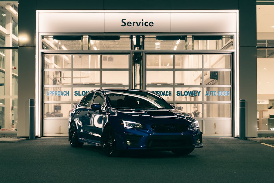 Cercetător analizează probe de plante în laborator